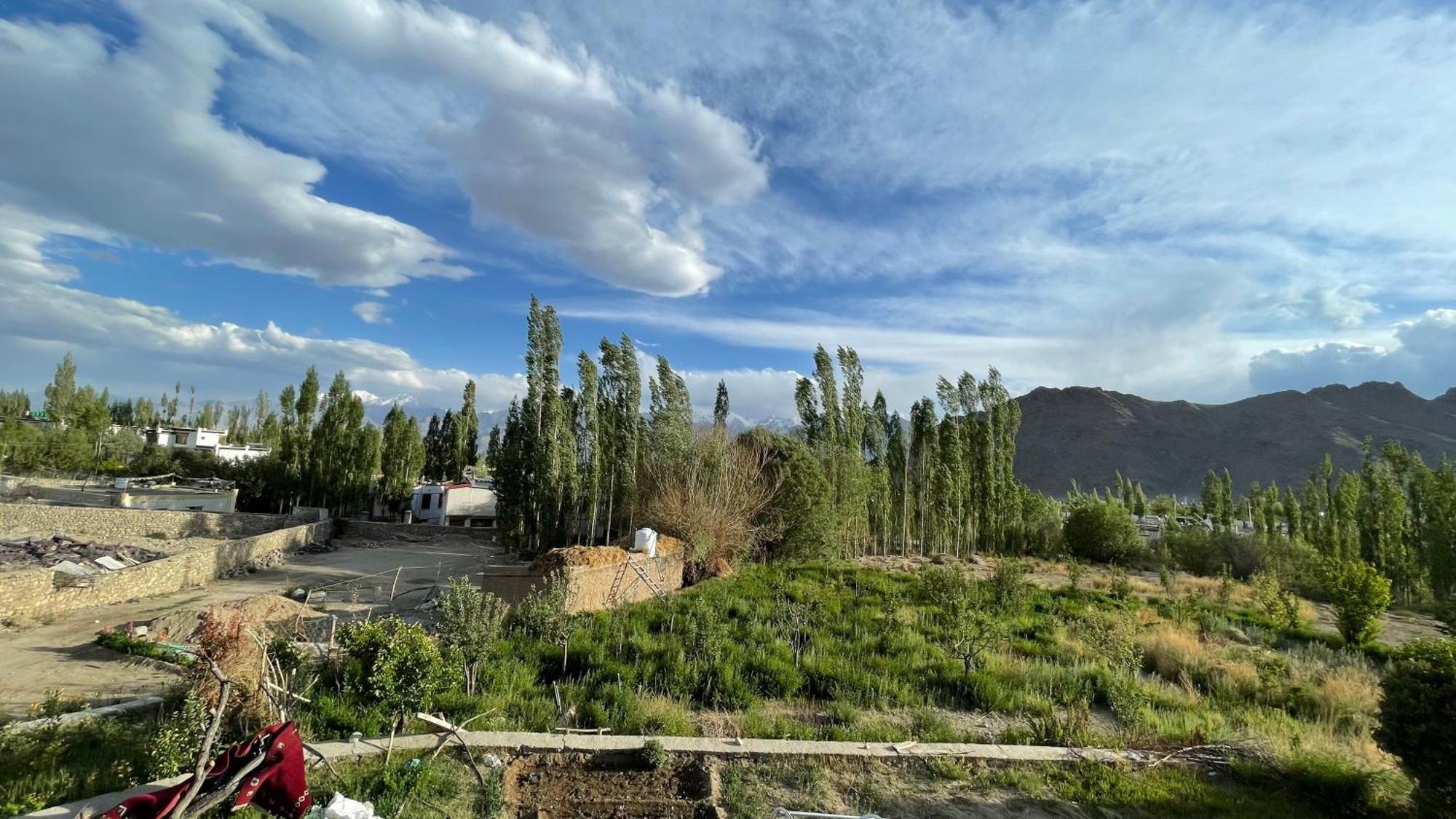 The Willow House Leh Kültér fotó