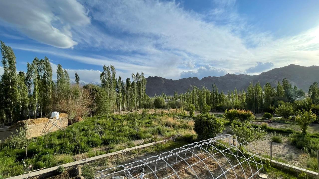 The Willow House Leh Kültér fotó